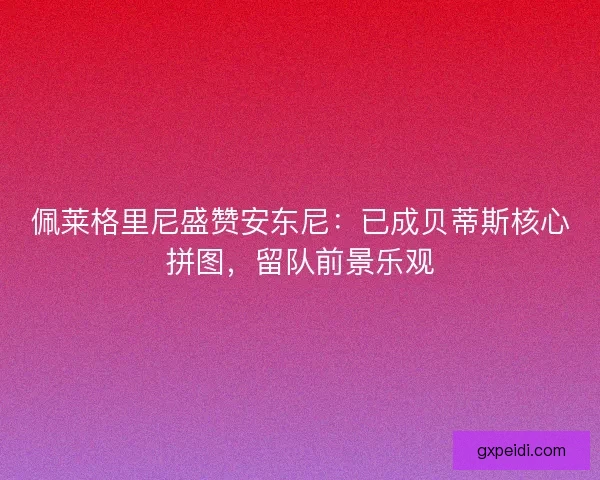 佩莱格里尼盛赞安东尼：已成贝蒂斯核心拼图，留队前景乐观