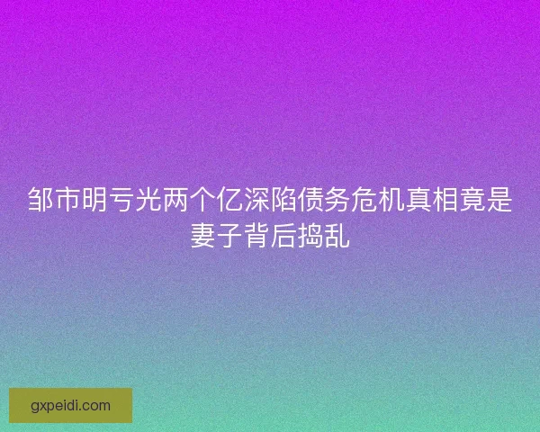 邹市明亏光两个亿深陷债务危机真相竟是妻子背后捣乱 邹市明亏光两个亿深陷债务危机真相竟是妻子背后捣乱