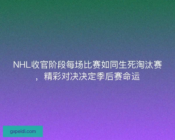 NHL收官阶段每场比赛如同生死淘汰赛,精彩对决决定季后赛命运 NHL收官阶段每场比赛如同生死淘汰赛,精彩对决决定季后赛命运
