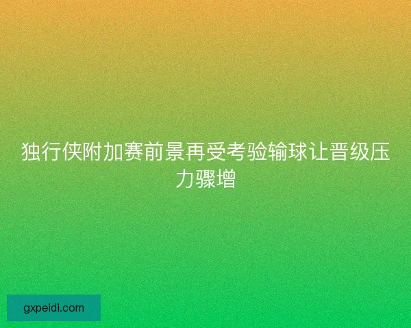 独行侠附加赛前景再受考验输球让晋级压力骤增