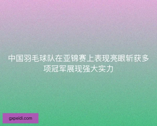 中国羽毛球队在亚锦赛上表现亮眼斩获多项冠军展现强大实力